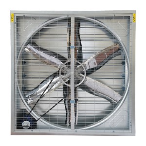 降温花季黄版下载安装的具体安装
